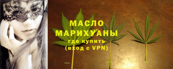 индика Богданович