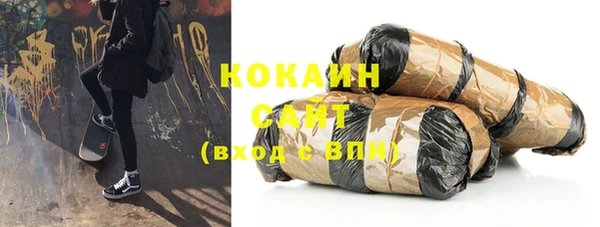 индика Богданович