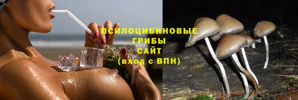 MESCALINE Богородицк