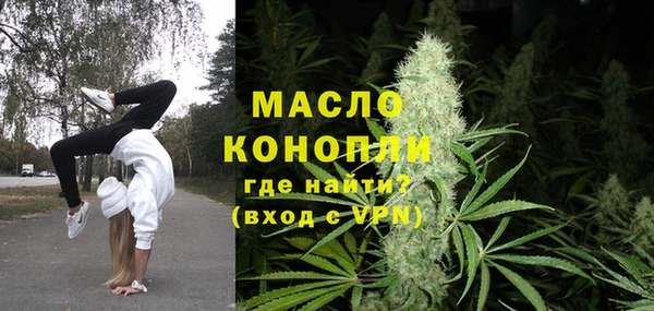 индика Богданович