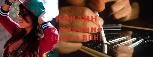 индика Богданович