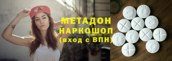 индика Богданович