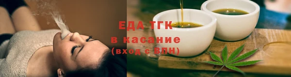 индика Богданович