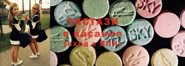 индика Богданович