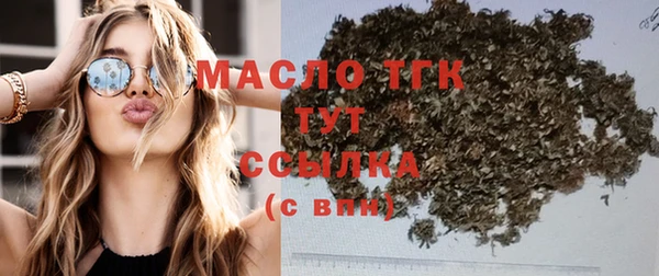индика Богданович