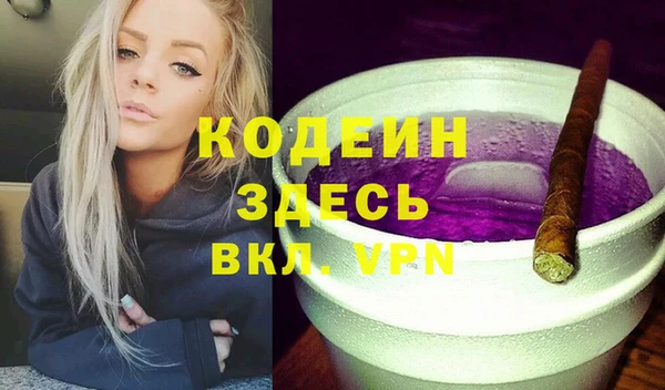 индика Богданович