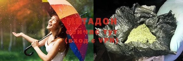 индика Богданович